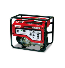 Генератор бензиновий Daishin SGB3801H