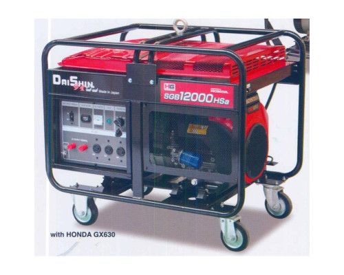 Генератор бензиновий Daishin SGB12000HSa