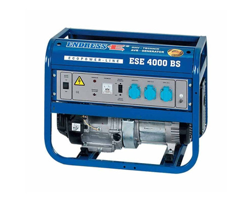 Генератор бензиновий Endress 4000 BS