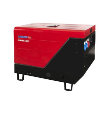 Генератор дизельний Endress ESE 1006 DLS-GT FI Diesel