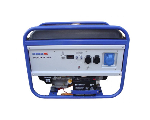 Генератор бензиновий Endress ESE 3000 BS