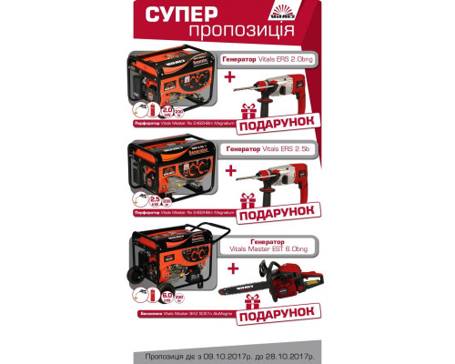 Генератор бензиновий Vitals ERS 2.5b