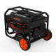 Генератор бензиновий Genergy LIMITED 3300