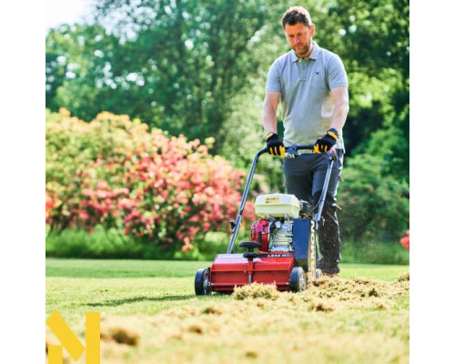 Скарифікатор Camon LS14