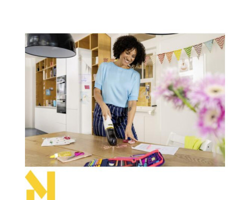 Пилосос ручний акумуляторний Karcher CVH 3 PLUS