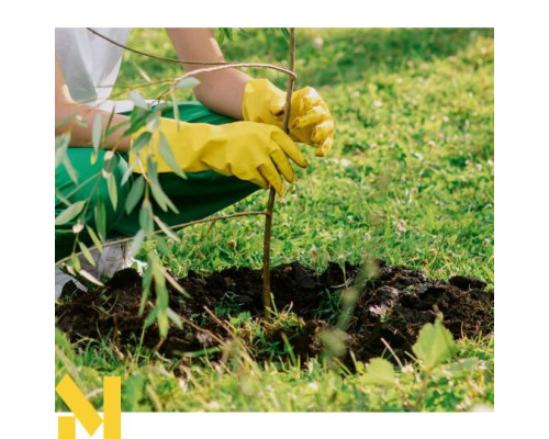 Мотобур Scheppach BAG2000-BE