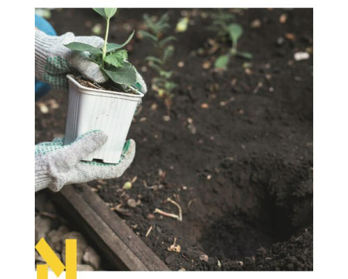 Мотобур Scheppach EB 2000