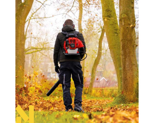 Повітродувка садова бензинова Scheppach LB5200BP