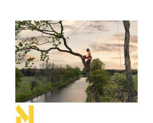 Бензопила Husqvarna T540 XP Mark III