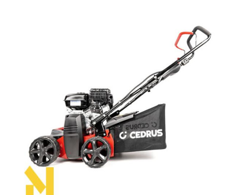 Скарифікатор бензиновий Cedrus WR01-B 2w1 (Briggs&Stratton CR950)