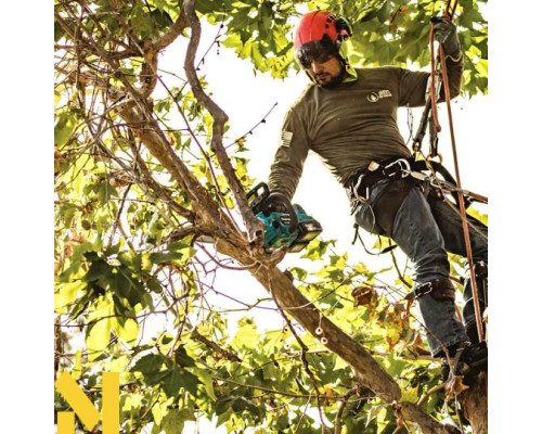 Пила ланцюгова акумуляторна Makita DUC256PT2