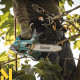 Пила ланцюгова акумуляторна Makita DUC406PT2B