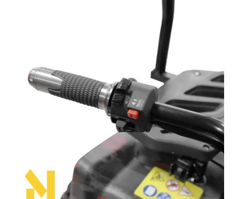 Вантажний квадроцикл акумуляторний HECHT CARGO 