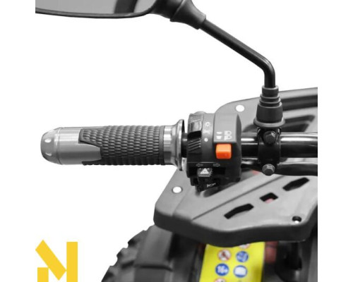 Вантажний квадроцикл акумуляторний HECHT FARMIS