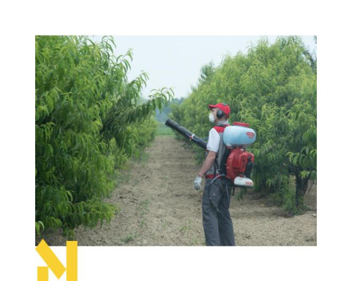 Мотообприскувач ранцевий CIFARELLI M1200