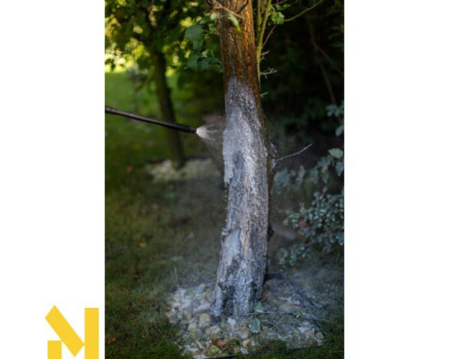 Обприскувач для побілки вапном Marolex Profession Plus 12 л