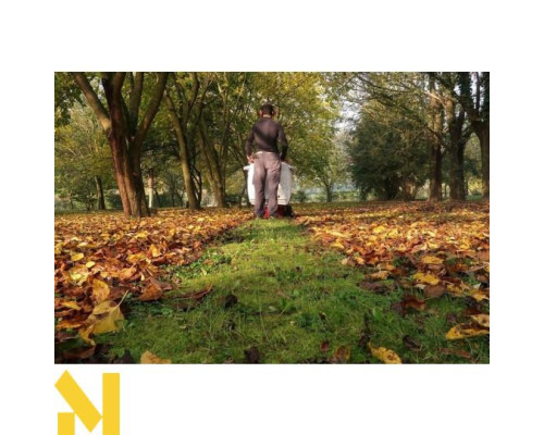 Пилосос садовий бензиновий Weibang WBLV506C Loncin G160F