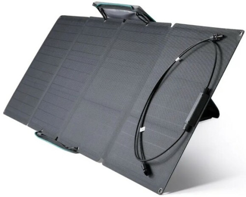 Набір EcoFlow Delta (1260 Вт·год / 1800 Вт) + two 110W Solar Panels Bundle