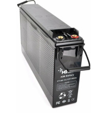 Акумуляторна батарея Merlion AGM FT-12100 (11704)